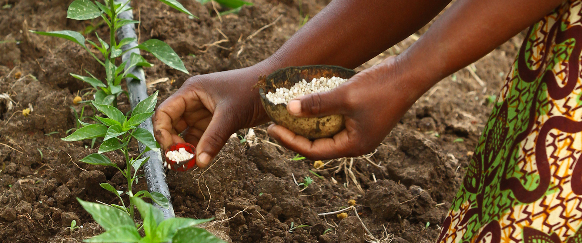 Lubombo Community Development