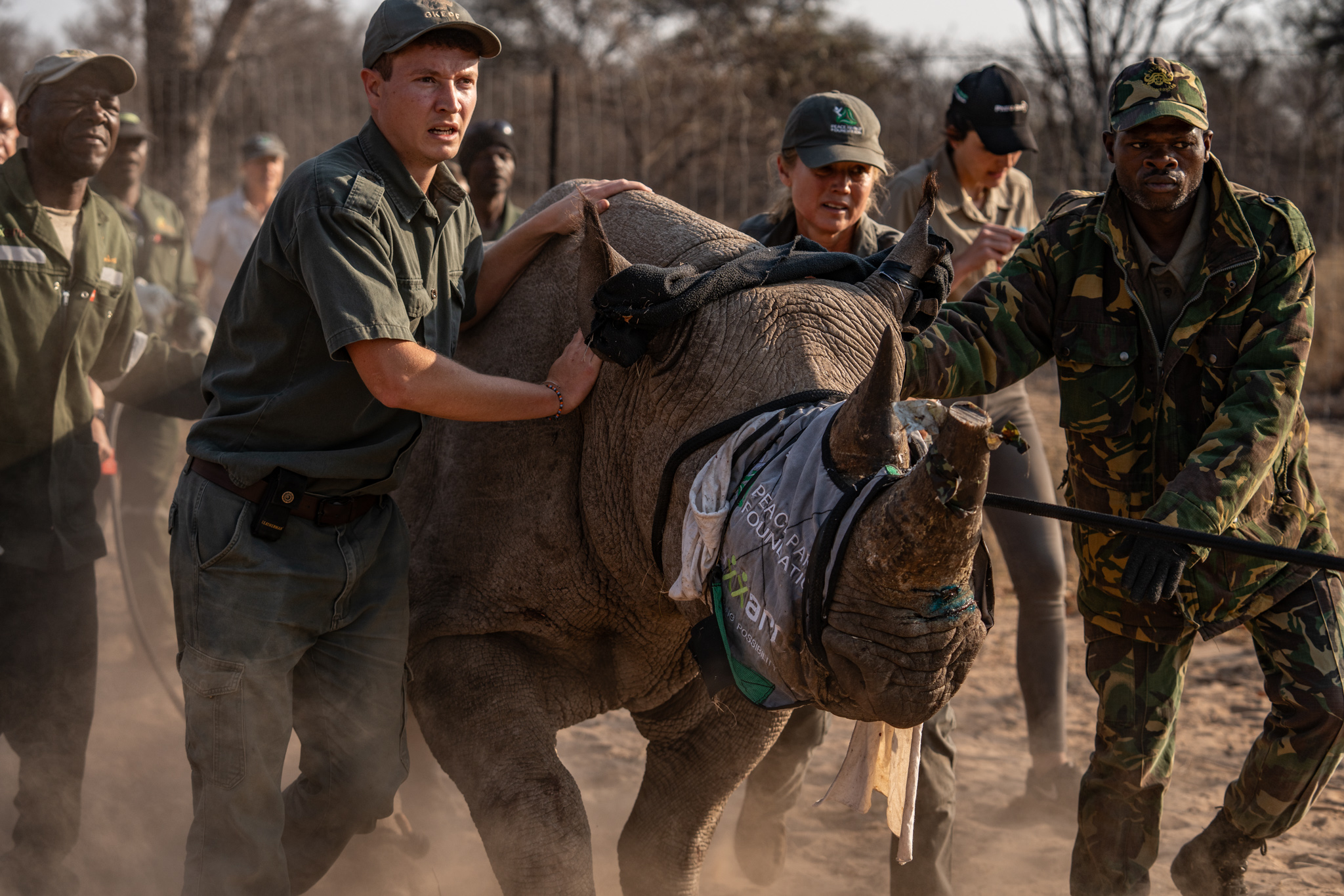 Women in Conservation Science- Peace Parks Foundation