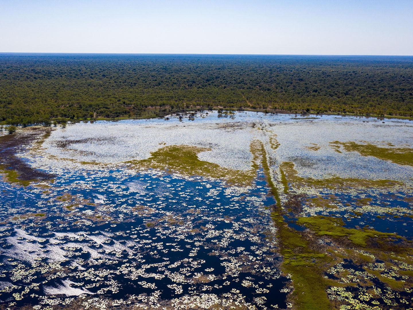 Banhine National Park