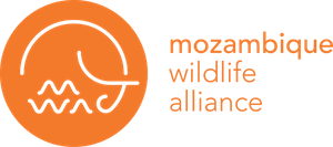 Mozambique Wildlife Alliance